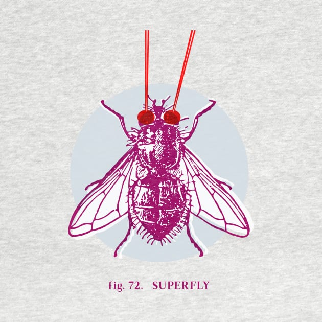 fig. 72 Superfly by VrijFormaat